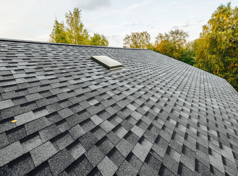 New Asphalt shingle roof with a skylight